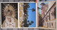 Delcampe - SPAIN SEVILLA BOOKLET LOT FOLDER BROCHURE KARTE POSTKARTE POSTCARD ANSICHTSKARTE CARTE POSTALE CARTOLINA CARD - Sammlungen & Sammellose