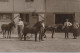 EPERNAY : Lot De 5cpa, Chevaux, Marechal-ferrand, Attelage - Tres Bon Etat - Epernay