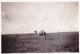 Original Picture - South Africa - Kruger National Park - Camel - Other & Unclassified