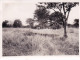 Original Picture - South Africa - Kruger National Park - Zebras - Zebras