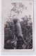 JURA : Carte Photo D'une Chasse Au Bois De Chatillon En 1934 - Très Bon état - Sonstige & Ohne Zuordnung