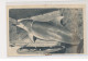 COUTAINVILLE - Carte Photo D'un Dauphin (pêche) - état - Other & Unclassified