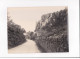 AVEYRON, Rodez, Route De Salles-la-Source, Photo Auclair-Melot, Environ 23x17cm Années 1920-30 - Très Bon état - Orte