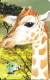 Italy: Prepaid GlobalOne - Save The Planet 53, Giraffe - [2] Handy-, Prepaid- Und Aufladkarten