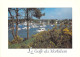 56 - Le Golfe Du Morbihan - Les Rives Du Golfe Du Morbihan - Andere & Zonder Classificatie