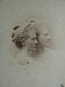 Photo Cdv Otto, Paris -  Blanche Lacombe De La Tour Et  Rose De Laverine, Ca 1895 L679 - Antiche (ante 1900)