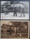 Indochine Lot 2  Cpa Elephant Saigon - Vietnam