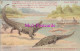 Animals Postcard - Crocodile, South Africa   DZ215 - Andere & Zonder Classificatie