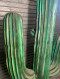 Cactus Decoration Western Statue / Cactus Décoration Statue Western - Sonstige & Ohne Zuordnung