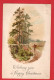 CHRISTMAS    CHROMO ART RAPHAEL TUCK GEM SCENERY SERIES  Pu  STROUD 1906  DUPLEX POSTMARK - Tuck, Raphael