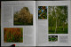 Delcampe - Guide Complet De LA TAILLE - Arbres Fruitiers - Haies - Plantes Grimpantes .... - Sélection Du Reader's Digest - (2006 ) - Giardinaggio