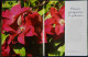 Delcampe - Guide Complet De LA TAILLE - Arbres Fruitiers - Haies - Plantes Grimpantes .... - Sélection Du Reader's Digest - (2006 ) - Jardinage