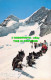 R528708 Jungfraujoch. Polarhunde. H. Meier. Postcard - Wereld