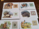 Delcampe - WWF Lot De 48 Cartes Avec Textes En Anglais  Et En Français - Unused Stamps