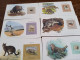 Delcampe - WWF Lot De 48 Cartes Avec Textes En Anglais  Et En Français - Unused Stamps