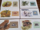 Delcampe - WWF Lot De 48 Cartes Avec Textes En Anglais  Et En Français - Unused Stamps