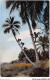 AICP8-AFRIQUE-0901 - L'AFRIQUE EN COULEUR - La Cueillette Des Noix De Coco - Sin Clasificación