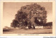 AICP5-AFRIQUE-0607 - ZAMBEZE - L'arbre De Livingstone à Séshéké - Ohne Zuordnung