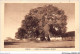 AICP5-AFRIQUE-0607 - ZAMBEZE - L'arbre De Livingstone à Séshéké - Non Classificati