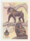 Maximum Card Soviet Union 1984 Monkey - Mandrill Baboon - Andere & Zonder Classificatie