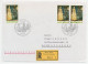 Registered Cover / Postmark United Nations 1981 Fresco S - Altri & Non Classificati