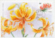 Maximum Card China 2003 Lily - Lilium Distichum - Other & Unclassified