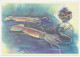 Maximum Card Rossija 1993 Squid - Sonstige & Ohne Zuordnung