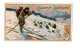 Chromo Chocolat Suchard, S 129 / 5, Serie D' Images De Sport, Course De Ski - Suchard
