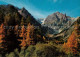 13073362 Val Ferret Herbststimmung Walliser Alpen Val Ferret - Andere & Zonder Classificatie
