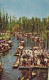 AK 215433 MEXICO - Mexico D. F. - Xochimilco - Floating Gardens - Mexiko