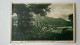 Monaco Monte Carlo Lot Of 20 Unused Postcards Cie. Alsacienne Des Arts Photomécaniques Strasbourg Ca. 1925 - Monte-Carlo