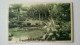 Delcampe - Monaco Monte Carlo Lot Of 20 Unused Postcards Cie. Alsacienne Des Arts Photomécaniques Strasbourg Ca. 1925 - Monte-Carlo