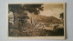 Delcampe - Monaco Monte Carlo Lot Of 20 Unused Postcards Edition Madame Gonod Monte-Carlo Ca. 1925 - Monte-Carlo