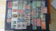 Delcampe - BF49 Bel Ensemble De Timbres De Divers Pays Dont N° 258 + 259 + 260 ** Cote 320 Euros. A Saisir !!! - Sammlungen (im Alben)