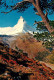 13020333 Zermatt VS Riffelalp Matterhorn  Zermatt VS - Otros & Sin Clasificación