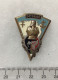 FRANCE GENIE MILITAIRE Insigne 34° Régiment Du Génie. Croix D’Agadès - 1939-45