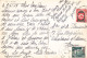 Carte Postale Algérie Cachet 1949 + Timbre N°237 270  CPSM GF Boulevard Laferrière - Storia Postale