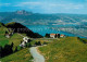 13003214 Vierwaldstaettersee SZ Rigi Staffel Luzern Pilatus Vierwaldstaettersee  - Sonstige & Ohne Zuordnung