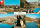 12995640 Grand Saint Bernard Hospice Panorama See Mann Mit Bernhardiener Hund Gr - Autres & Non Classés