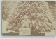 10667405 - Neujahr  Baby Sitzt Vor Einem Tannenbaum - Photographs