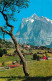 12955900 Grindelwald Teilansicht Mit Blick Zum Wetterhorn Berner Alpen Grindelwa - Autres & Non Classés