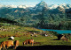 12926240 Amden SG Panorama Blick Auf Walensee Und Muertschenstock Viehweide Kueh - Otros & Sin Clasificación