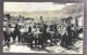 Chili. Carte Photo. Lamas (A17p18) - Chile