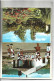 LIBRO FLEXO CON 36 VISTAS DE MADEIRA.- ( MADEIRA-PORTUGAL ) - Madeira