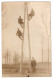 ELECTRIFICATION DES ARDENNES En Mai 1911 - CARTE PHOTO DE LA POSE D'UN PILONE - BEAU DOCUMENT - - Autres & Non Classés