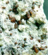 Mineral - Sfalerite (Missouri, USA) - Lot. 1158 - Minéraux
