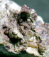 Delcampe - Mineral - Sfalerite (Missouri, USA) - Lot. 1158 - Minéraux