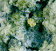 Delcampe - Mineral - Linnaeite (Hilchenbach, North Rhine, Westfalia, Germany) - Lot. 1160 - Mineralen