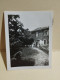 Italia Foto Piccola ORIOMOSSO (Campiglia Cervo) Villa Boggio 1948 - Europe