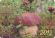 Boletus Pinophilus, Mushrooma, Russia, 2012,  100 X 70 Mm - Kleinformat : 2001-...